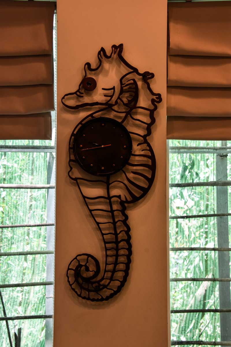 Trang trí - Khung cá ngựa